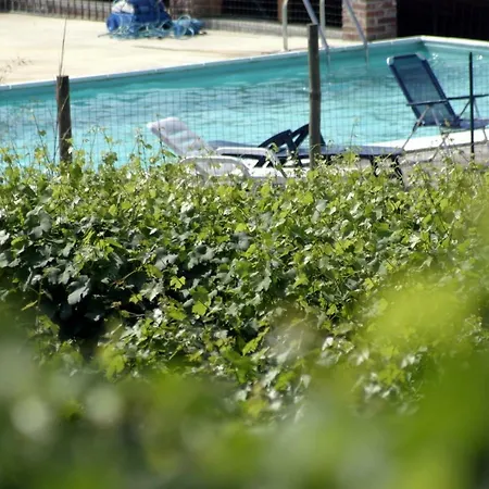 Cascina Del Monastero * La Morra