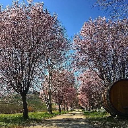 Cascina Del Monastero La Morra