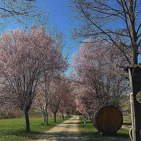 Cascina Del Monastero * Ла Морра