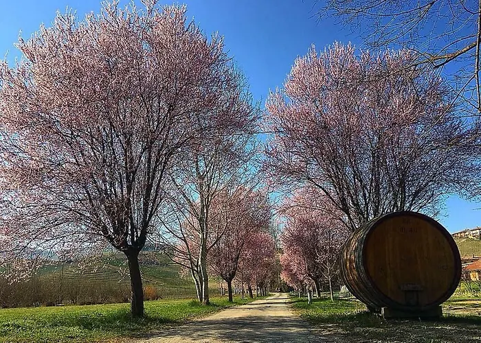 Cascina Del Monastero Ла Морра