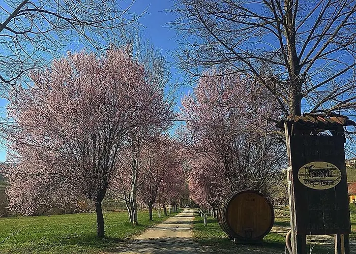 Cascina Del Monastero * Ла Морра